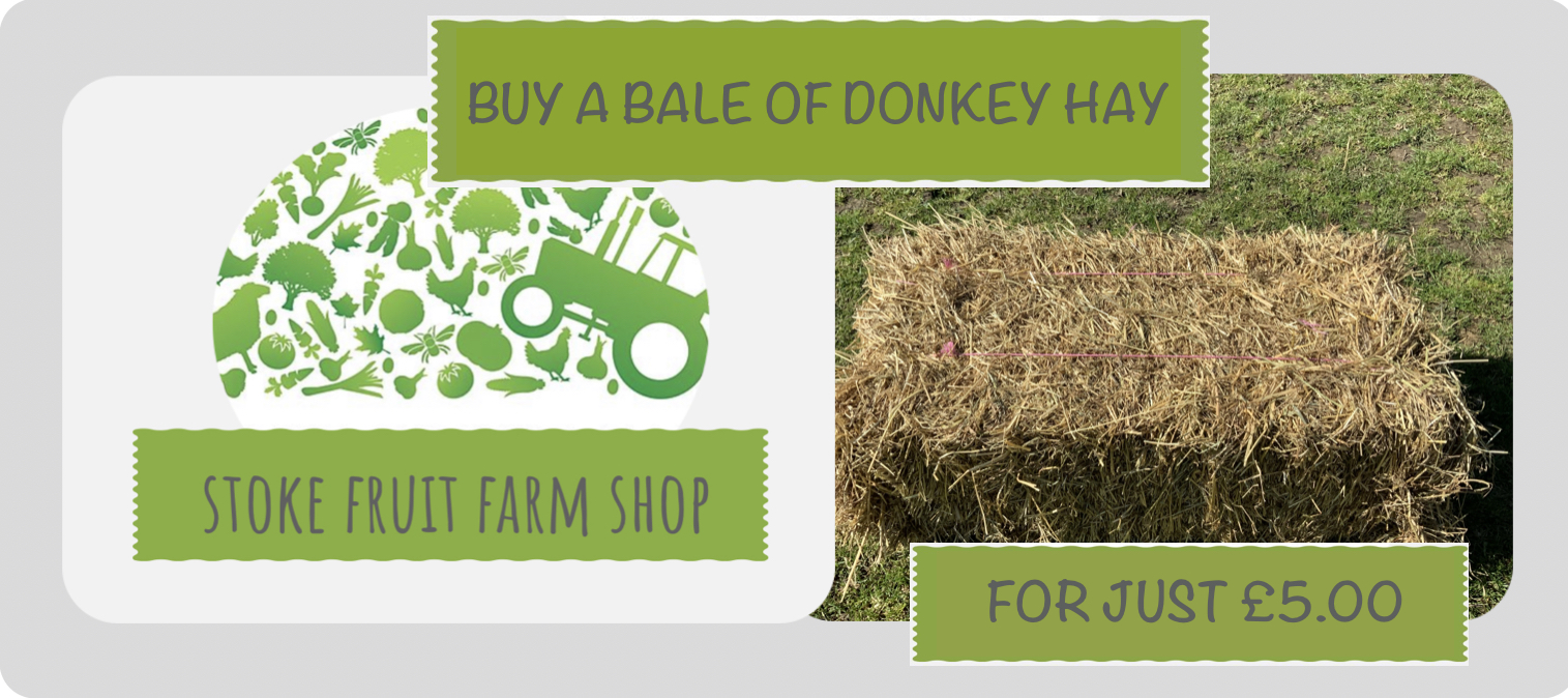 Buy a Bale of Hay